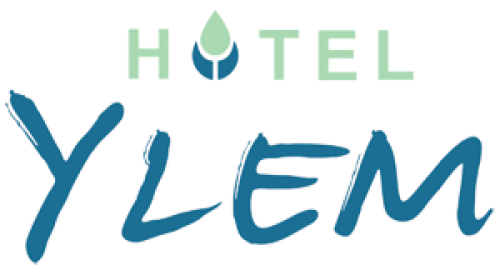 Hotel Ylem